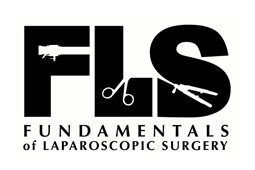 sitel_FLS-logo