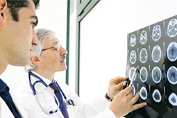 Image of two doctors looking at x-rays of a skull