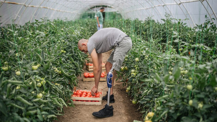 Image of an amputee working in greenhouse